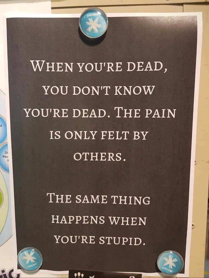 When You Are Dead, You Don’t Know You Are Dead. The Same Thing Happens When You Are&nbsp;Stupid